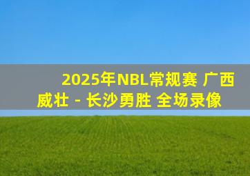 2025年NBL常规赛 广西威壮 - 长沙勇胜 全场录像